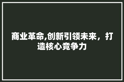 商业革命,创新引领未来，打造核心竞争力