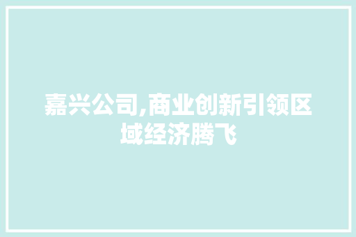 嘉兴公司,商业创新引领区域经济腾飞