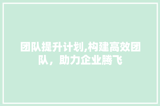 团队提升计划,构建高效团队，助力企业腾飞 反义词汇