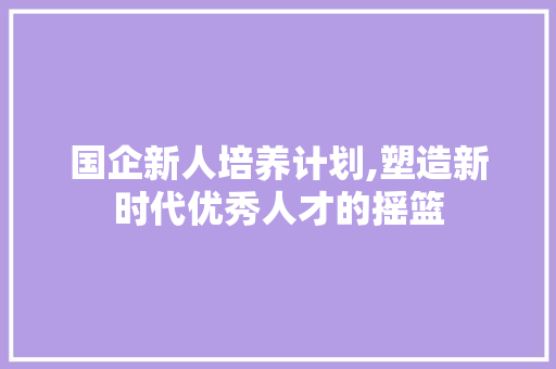 国企新人培养计划,塑造新时代优秀人才的摇篮
