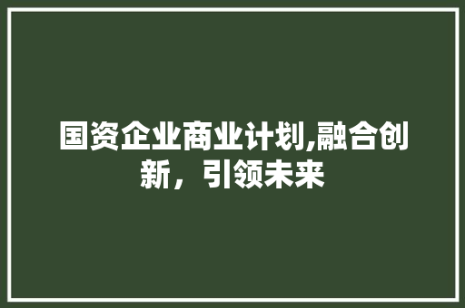 国资企业商业计划,融合创新，引领未来