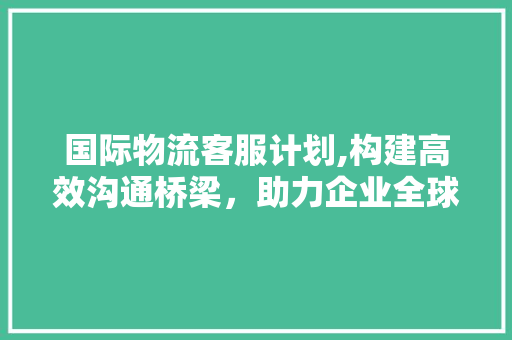 国际物流客服计划,构建高效沟通桥梁，助力企业全球布局 问答