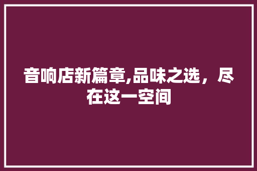 音响店新篇章,品味之选，尽在这一空间