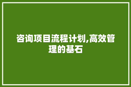 咨询项目流程计划,高效管理的基石