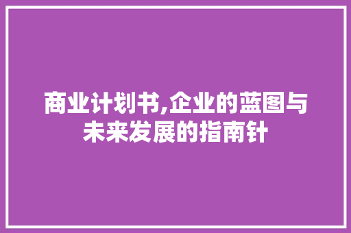 商业计划书,企业的蓝图与未来发展的指南针