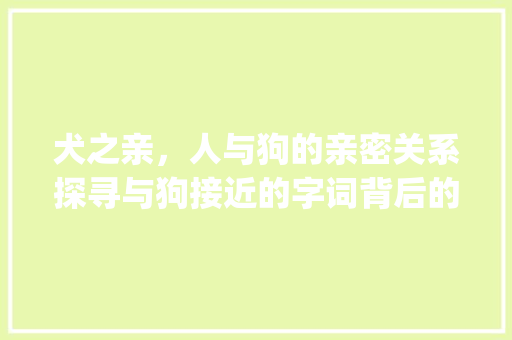 犬之亲，人与狗的亲密关系探寻与狗接近的字词背后的深层含义_和狗接近的字是什么意思