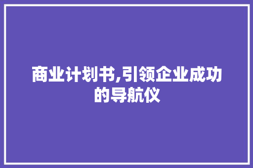 商业计划书,引领企业成功的导航仪 短语