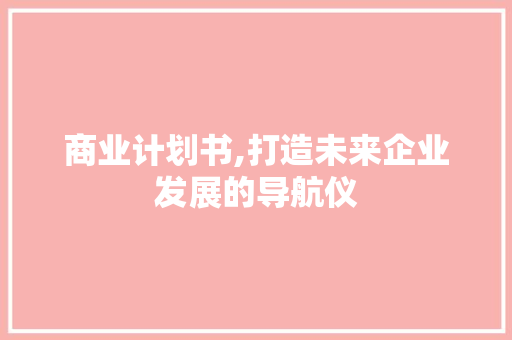 商业计划书,打造未来企业发展的导航仪