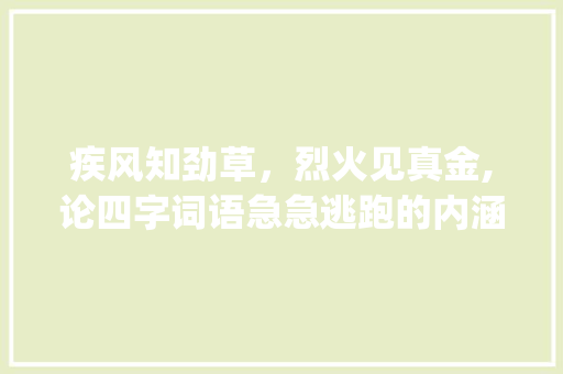 疾风知劲草，烈火见真金,论四字词语急急逃跑的内涵及其启示_急急逃跑的意思四字词语