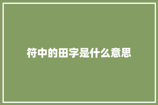 符中的田字是什么意思 问答