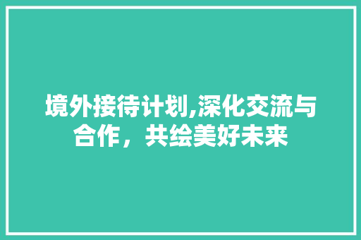 境外接待计划,深化交流与合作，共绘美好未来