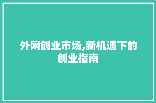 外网创业市场,新机遇下的创业指南 短语