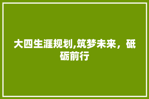 大四生涯规划,筑梦未来，砥砺前行 短语