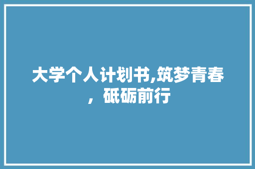 大学个人计划书,筑梦青春，砥砺前行 短语