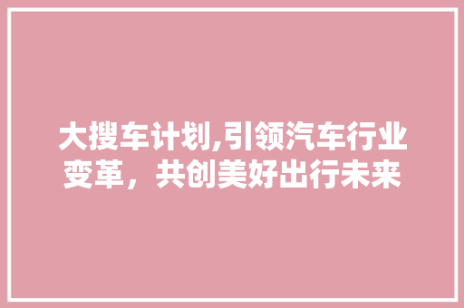大搜车计划,引领汽车行业变革，共创美好出行未来
