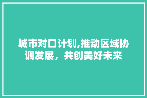 城市对口计划,推动区域协调发展，共创美好未来 成语汇编