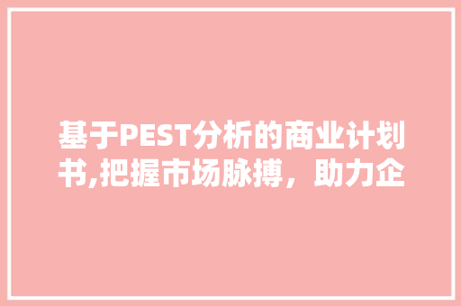 基于PEST分析的商业计划书,把握市场脉搏，助力企业成功