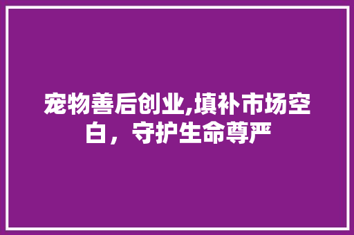 宠物善后创业,填补市场空白，守护生命尊严