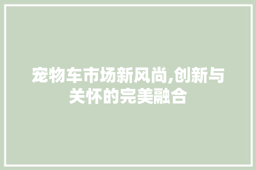 宠物车市场新风尚,创新与关怀的完美融合