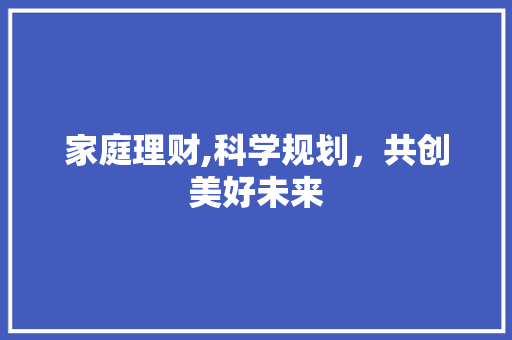 家庭理财,科学规划，共创美好未来 成语汇编