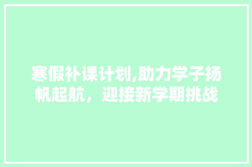 寒假补课计划,助力学子扬帆起航，迎接新学期挑战
