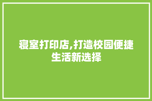 寝室打印店,打造校园便捷生活新选择