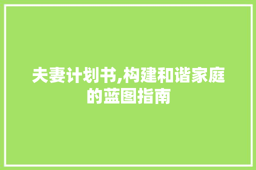 夫妻计划书,构建和谐家庭的蓝图指南