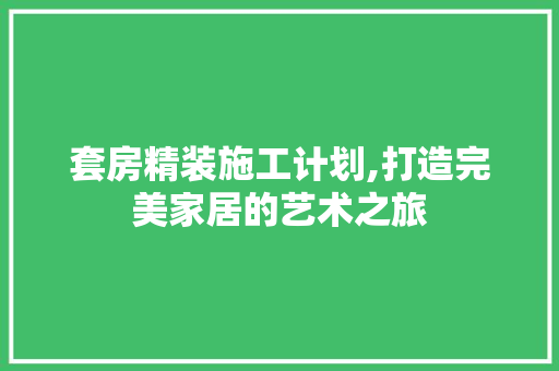 套房精装施工计划,打造完美家居的艺术之旅 近义词汇