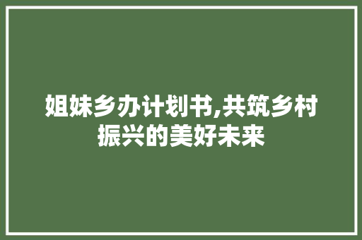 姐妹乡办计划书,共筑乡村振兴的美好未来