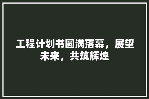 工程计划书圆满落幕，展望未来，共筑辉煌 短语