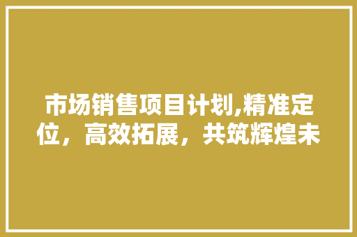 市场销售项目计划,精准定位，高效拓展，共筑辉煌未来 古代典籍