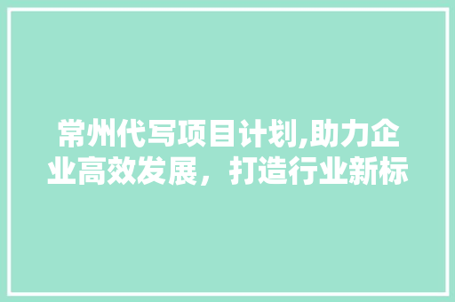 常州代写项目计划,助力企业高效发展，打造行业新标杆 短语