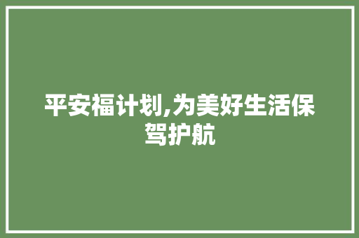 平安福计划,为美好生活保驾护航 成语汇编