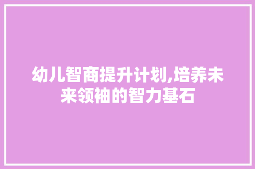 幼儿智商提升计划,培养未来领袖的智力基石