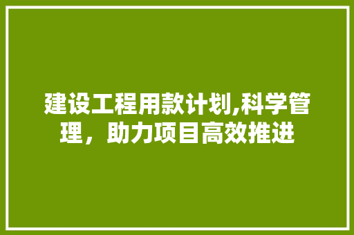 建设工程用款计划,科学管理，助力项目高效推进