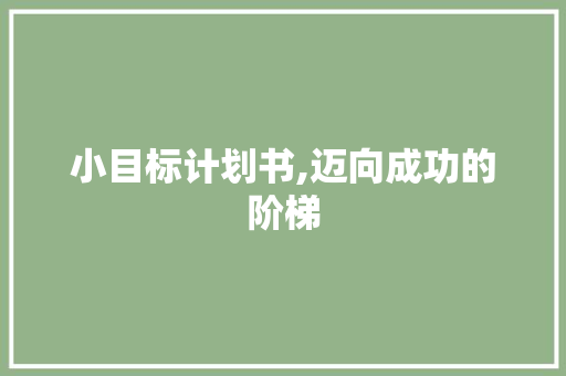 小目标计划书,迈向成功的阶梯 英语单词
