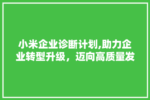 小米企业诊断计划,助力企业转型升级，迈向高质量发展 英语单词