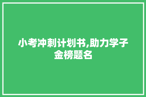 小考冲刺计划书,助力学子金榜题名 近义词汇