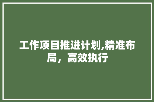 工作项目推进计划,精准布局，高效执行 短语