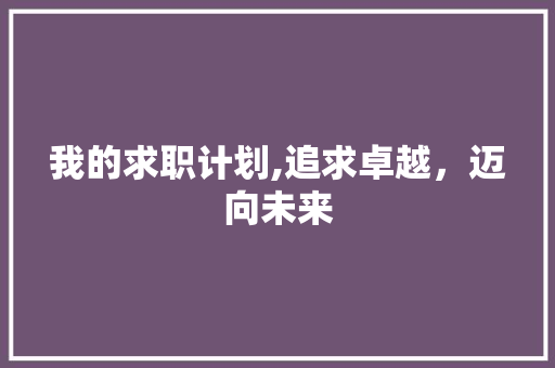 我的求职计划,追求卓越，迈向未来