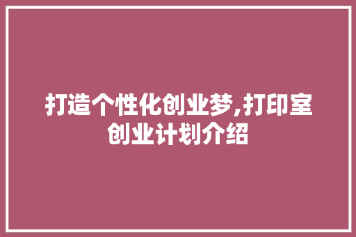 打造个性化创业梦,打印室创业计划介绍