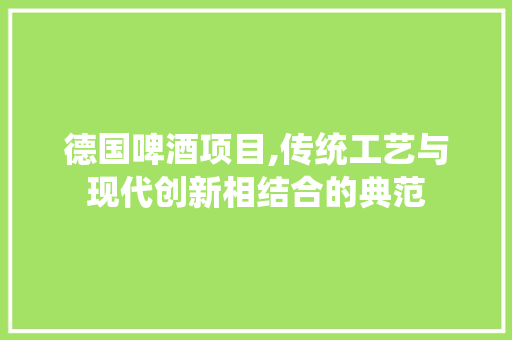 德国啤酒项目,传统工艺与现代创新相结合的典范 短语