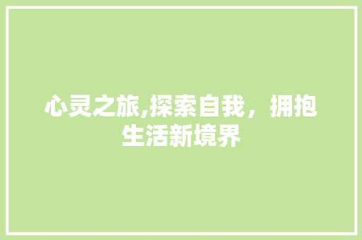心灵之旅,探索自我，拥抱生活新境界 短语