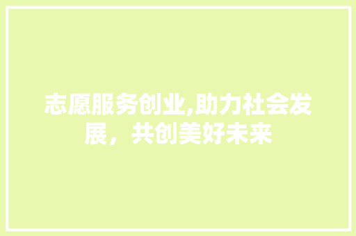 志愿服务创业,助力社会发展，共创美好未来