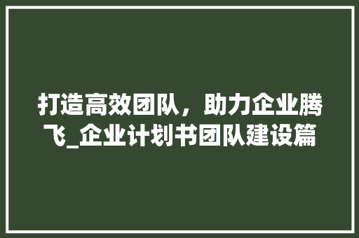 打造高效团队，助力企业腾飞_企业计划书团队建设篇 短语
