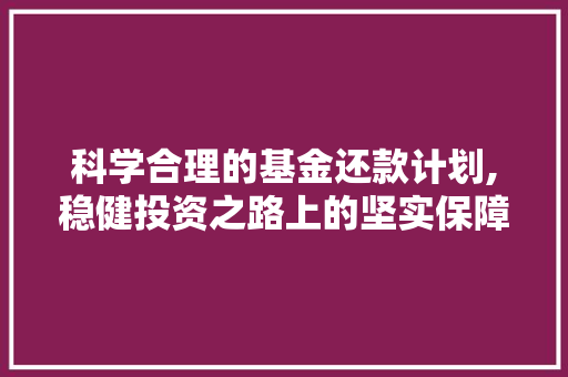 科学合理的基金还款计划,稳健投资之路上的坚实保障