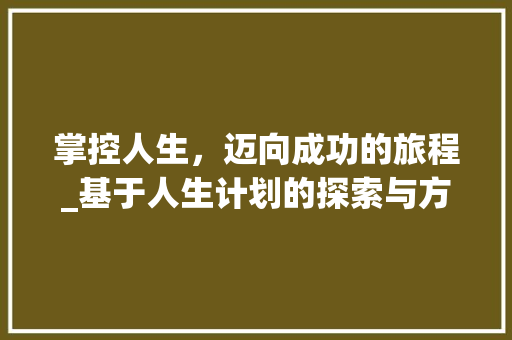掌控人生，迈向成功的旅程_基于人生计划的探索与方法