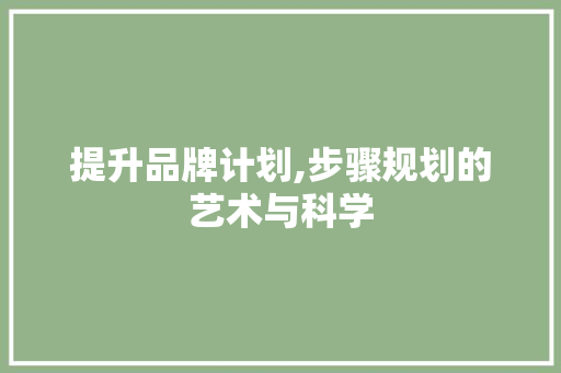 提升品牌计划,步骤规划的艺术与科学 问答