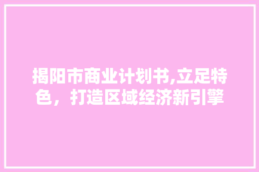 揭阳市商业计划书,立足特色，打造区域经济新引擎