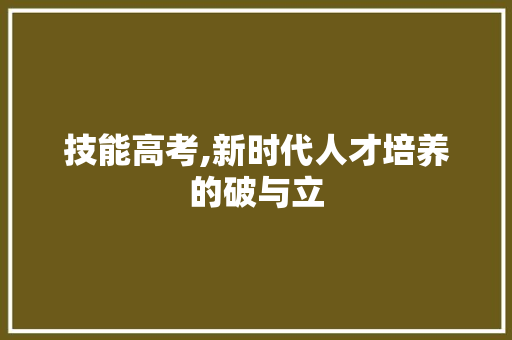 技能高考,新时代人才培养的破与立 近义词汇